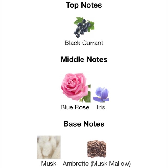 Tiffany & co rose gold MINI travel size womens NEW - Picture 2 of 2